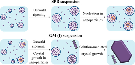 graphical abstract